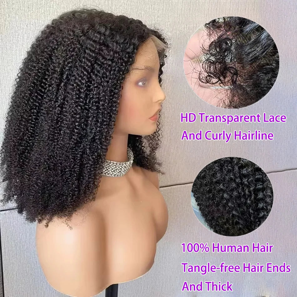 MOANA | 220% Afro Kinky Curly